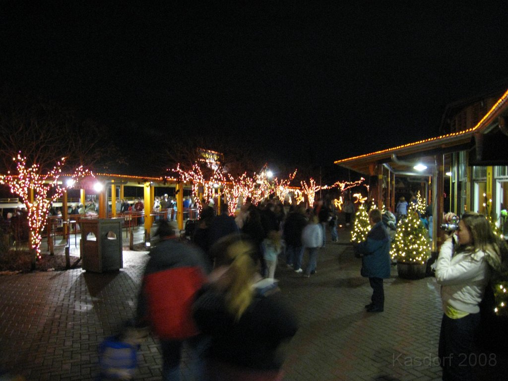 Toledo Zoo Lights 2008 004.jpg - The regular visit to the Toledo Ohio Zoo to see the Christmas Lights displays. New this trip were the "Dancing Lights", displays flashing in time with the Christmas Songs.
